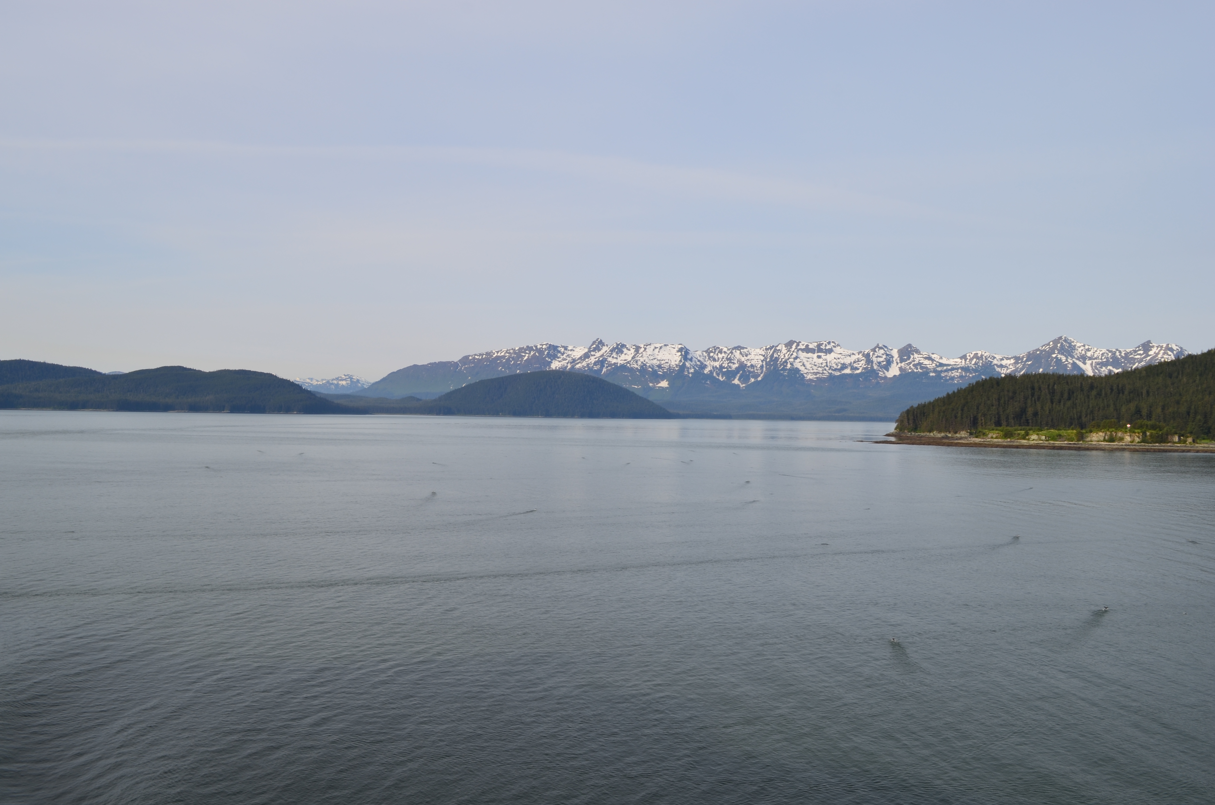 ./2017/08 - Alaska Cruise/08 - Juneau/DSC_0812.JPG